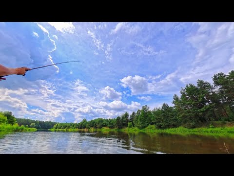 Видео: Неман. Сплав по РЕКЕ со спиннингом на ПВХ лодке. Щука и окуни на кастинг. Рыбалка 2025 летом