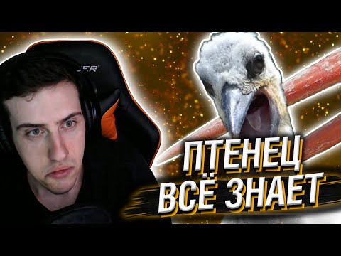 Видео: ПТЕНЕЦ ЗНАЕТ, ЧТО ПРОИЗОЙДЁТ ДАЛЬШЕ // РЕАКЦИЯ HELLYEAHPLAY