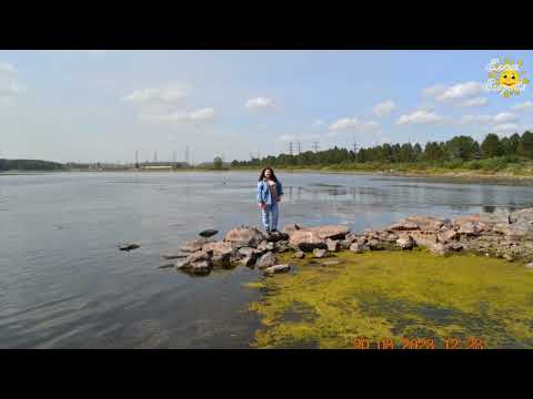 Видео: Рефтинский 20 августа #рефтинский #рекомендации #супер  #живаяприрода #наприроде #города #лучшее