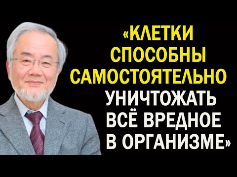 Видео: Этот способ спас миллионы жизней! Великий учёный Ёсинори Осуми и его метод лечебного голодания.