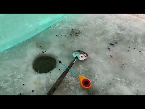 Видео: ловим платву.