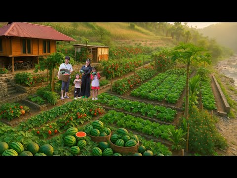 Видео: Жизнь на ферме без электросети: сбор арбузов и выращивание зеленого рая