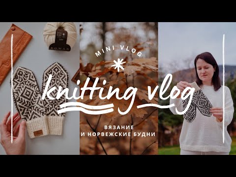 Видео: vlog 42/24 | жаккарды и кашемиры: история о том как прошла моя неделя 🧶 новые скандинавские варежки