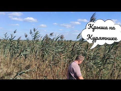 Видео: Наши будни в станице // Хлебопечь Oberhof Broter F4 // Нюркина жизнь