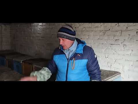 Видео: Причини просадки семей, и как сохранить слабые отводки зимой. Часть1.