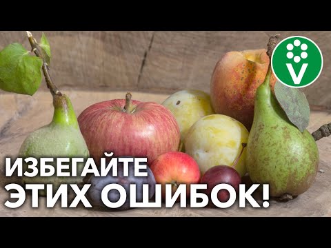 Видео: СОСЕДИ ПО САДУ – КАКИЕ РАСТЕНИЯ НЕ ДРУЖАТ МЕЖДУ СОБОЙ? Что с чем НЕЛЬЗЯ сажать рядом?!