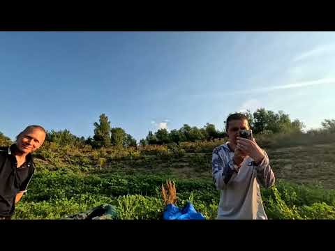 Видео: Рыбалка на Ахтубе, август 2025, третья серия.