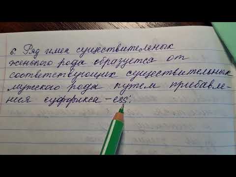 Видео: РОД Часть 2 имён существительных. Английский язык. Грамматика.