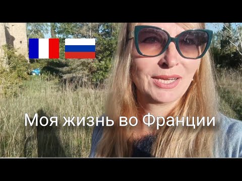 Видео: Ёлки, пальмы, бизнес и кот. Октябрь во Франции. 