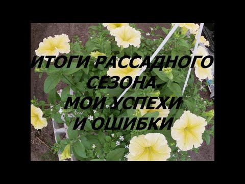 Видео: ИТОГИ РАССАДНОГО СЕЗОНА.МОИ УСПЕХИ И ОШИБКИ.