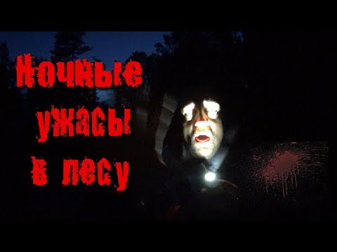 Видео: Ночные ужасы в лесу у Рыжего! (18+)