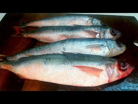 Видео: Самая Бюджетная, Вкусная и Полезная Морская рыба - это Красноглазка!