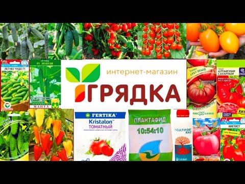 Видео: Этот магазин-находка для огородников! Большой ассортимент, приятные цены! Грядка 58