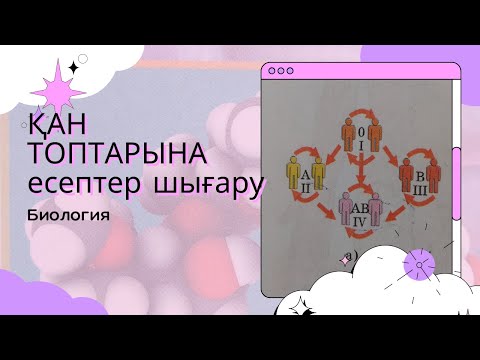 Видео: Қан топтарына есептер шыгару.  Биология