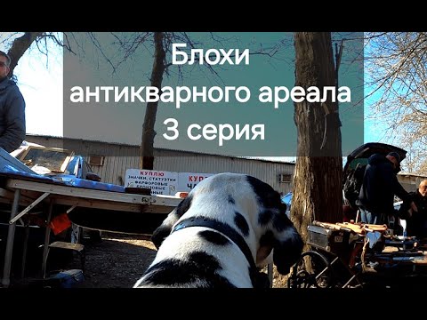 Видео: Фальшивый антиквариат. 3 серия. Блохи антикварного ареала.