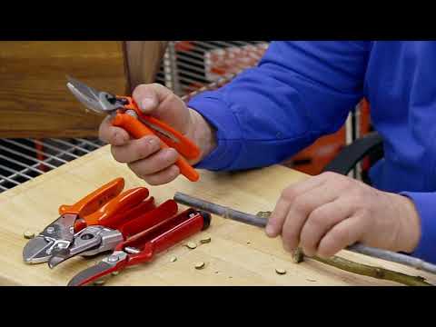 Видео: Тест секаторов - режем древесину.