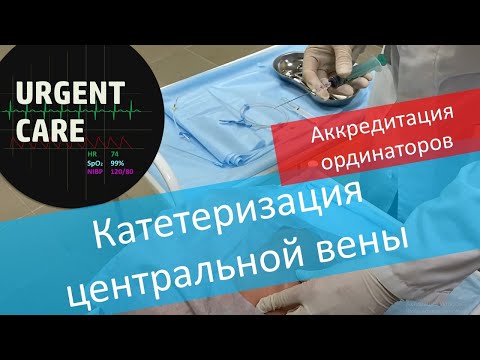 Видео: ПСА: катетеризация подключичной вены