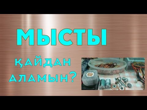 Видео: Мысты қайдан аламын? (Русские субтитры)
