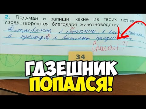 Видео: Проверяю рабочие тетради по окружающему миру - 3 класс #7