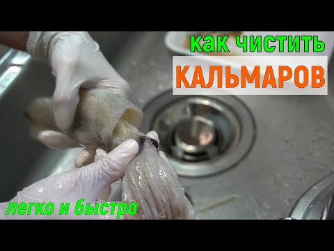 Видео: Как легко чистить кальмаров/#Кальмар_легкий_способ/오징어손질/#Корейская_кухня