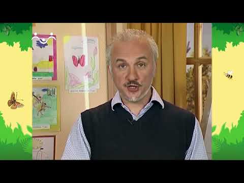 Видео: День в Шишкином Лесу. Художник. Голубой красный, синий, фиолетовый цвета