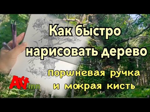 Видео: Как быстро нарисовать дерево. Скетчинг для начинающих.