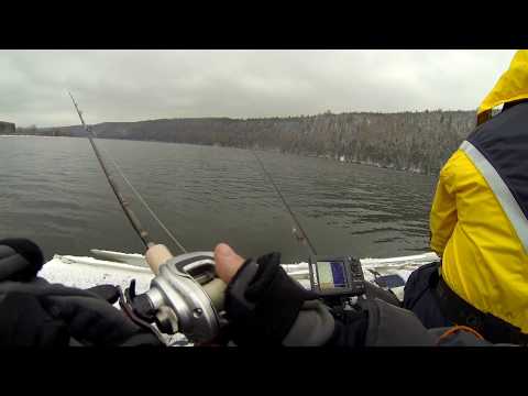 Видео: Ловля судака на поролон и мандулу