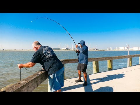 Видео: Начинается Bull Red Run! Рыбалка на пирсе