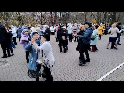 Видео: Танцы в Гомеле. 08.11.2025 г. 