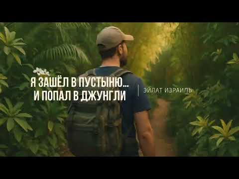 Видео: Тропический лес в сердце пустыни?! Эйлат, который вас удивит | 4K видео 