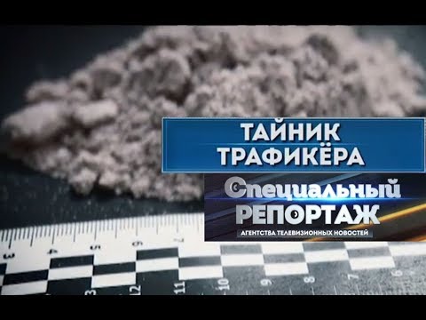 Видео: Тайник трафикёра. Специальный репортаж