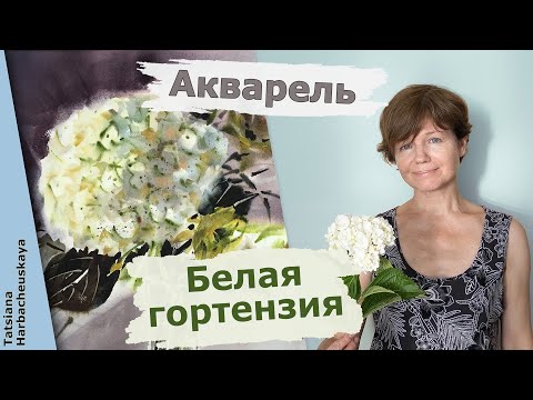 Видео: Белая гортензия акварелью