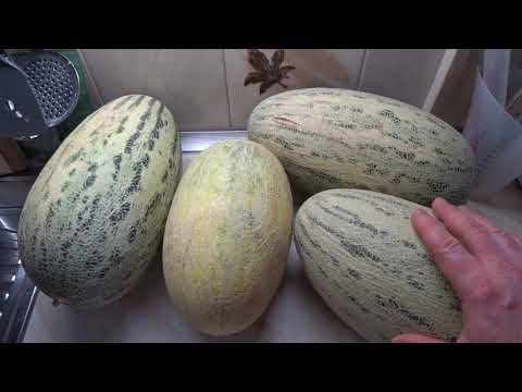 Видео: Дистиллят из дыни. Выдержанный на дубовом сегменте  дыневый самогон.