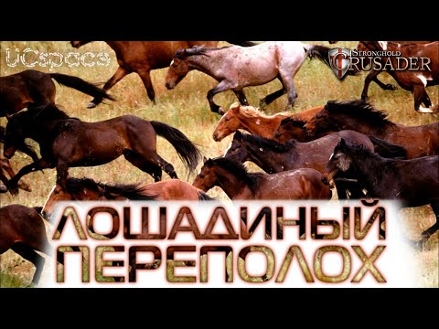 Видео: Лошадиный ПЕРЕПОЛОХ | Stronghold Crusader