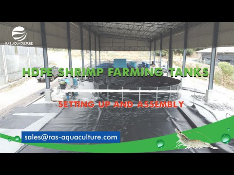 Видео: Пошаговое руководство по созданию резервуара из полиэтилена высокой плотности для выращивания кре...