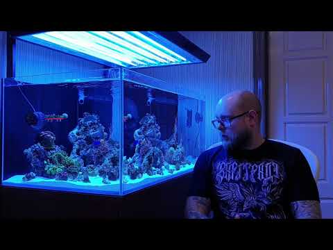 Видео: Переезд состоялся.