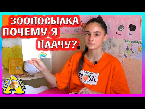 Видео: РАСПАКОВКА ПОСЫЛКИ ДЛЯ ЦАРЯ ЗВЕРЕЙ / ЧТО ПРИСЛАЛИ ХОМКИ? / КАНАЛ Alisa Easy Pets