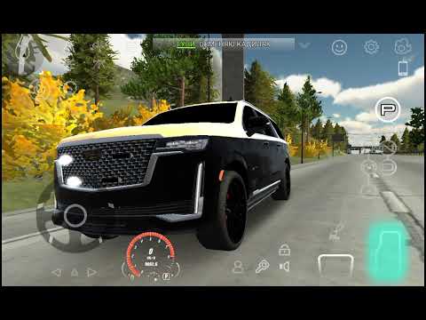 Видео: ОБЗОР КАДИЛАКА