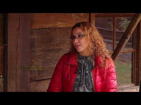 Видео: Дървената  джамия на седемте девойки в село Подкова - 10 000 крачки, 03.02.2022