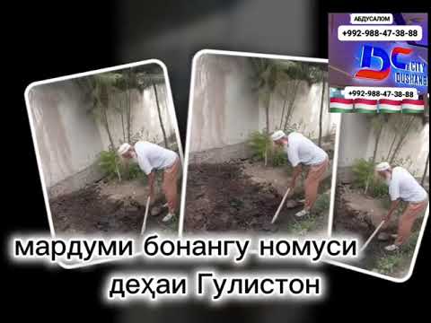 Видео: Дил бағами Ватан Ки мекунад 🫵