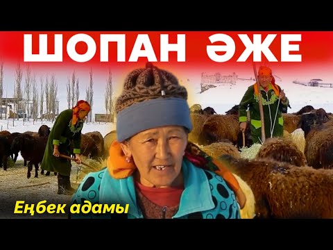 Видео: 30 жылдан бері қой бағып жүрген Шопан әже | Ауыр жұмыстағы ананың еңбегі | ЕҢБЕК АДАМЫ #22