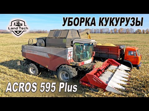 Видео: Комбайны ACROS 595 Plus - работа на уборке кукурузы! Жатка ARGUS 870 от Ростсельмаш