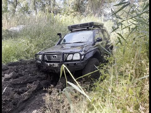 Видео: Камыши, болото. Покатушка 08.09.24