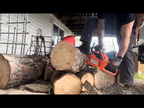 Видео: Husqvarna 120 Mark II режет с глушителем Mod. #дрова #husqvarna