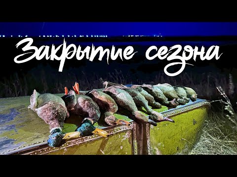Видео: Лучшая охота на уток в сезоне | Закрыли сезон и приготовили вкусное блюдо из уток