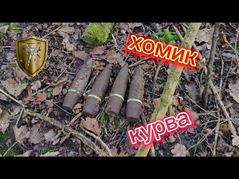 Видео: Как заработать миллион !?) #life #metaldetecting #история #xpdeusdetector #жизнь #коп
