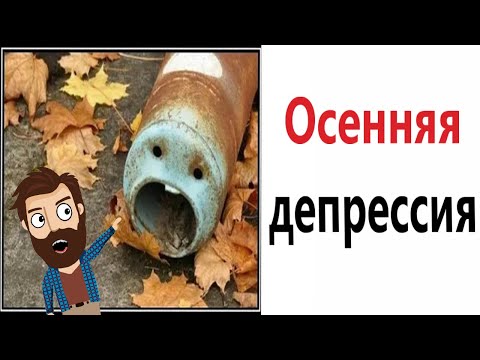 Видео: Приколы! 😱 НА НАС НАПАЛА ОСЕНЬ! Смешные видео - Доми шоу!