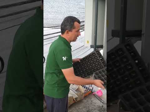Видео: #Мавсими нав бо қадами устувор оғоз шуд! #Sohai.kishovarzi