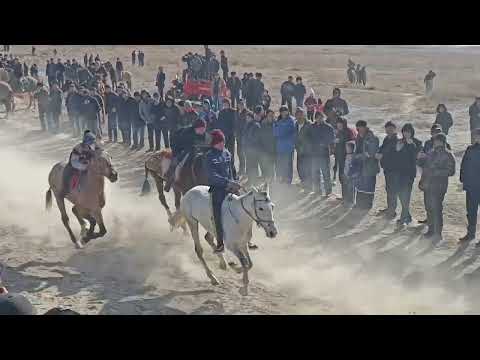 Видео: 25 02 2023 Шымбай Абиш сундет той