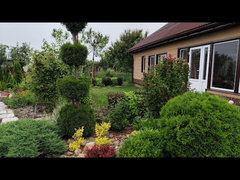 Видео: Красивая живая изгородь. Спасение Хакуро- Нишики. Откуда интузиазм? Черенкую кустарники.